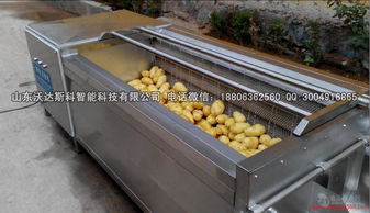 芋艿加工厂家 批发商 价格表